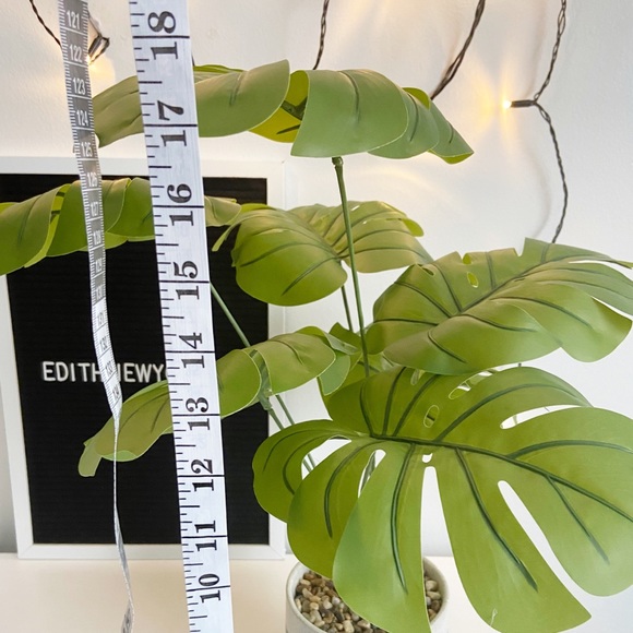 Faux Monstera Deliciosa Plant in Colorful Pot - Picture 10 of 15